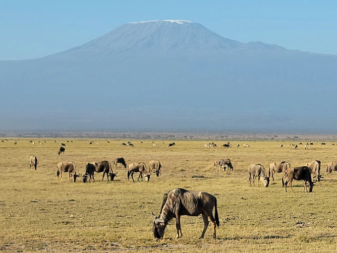 Amboseli-National-Reserve4